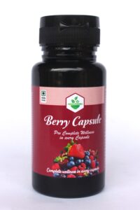 Niroxa Ayurveda Berry Capsule - Image 3